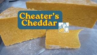 Cheater's Cheddar: The Easy Hard Cheese That Tastes Like the Real Deal!