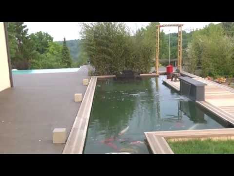 comment construire un bassin a koi