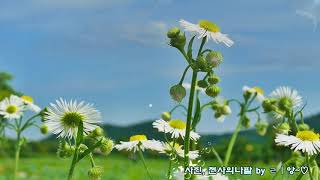 Here&#39;s To The Heroes - Mario Frangoulis