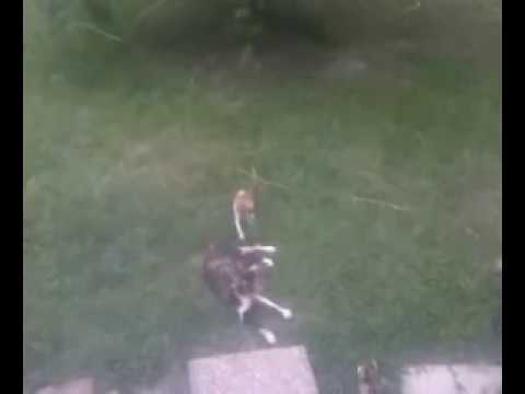 Thrive During Mercury Retrograde 2023 Day Four Retrograde Thriving