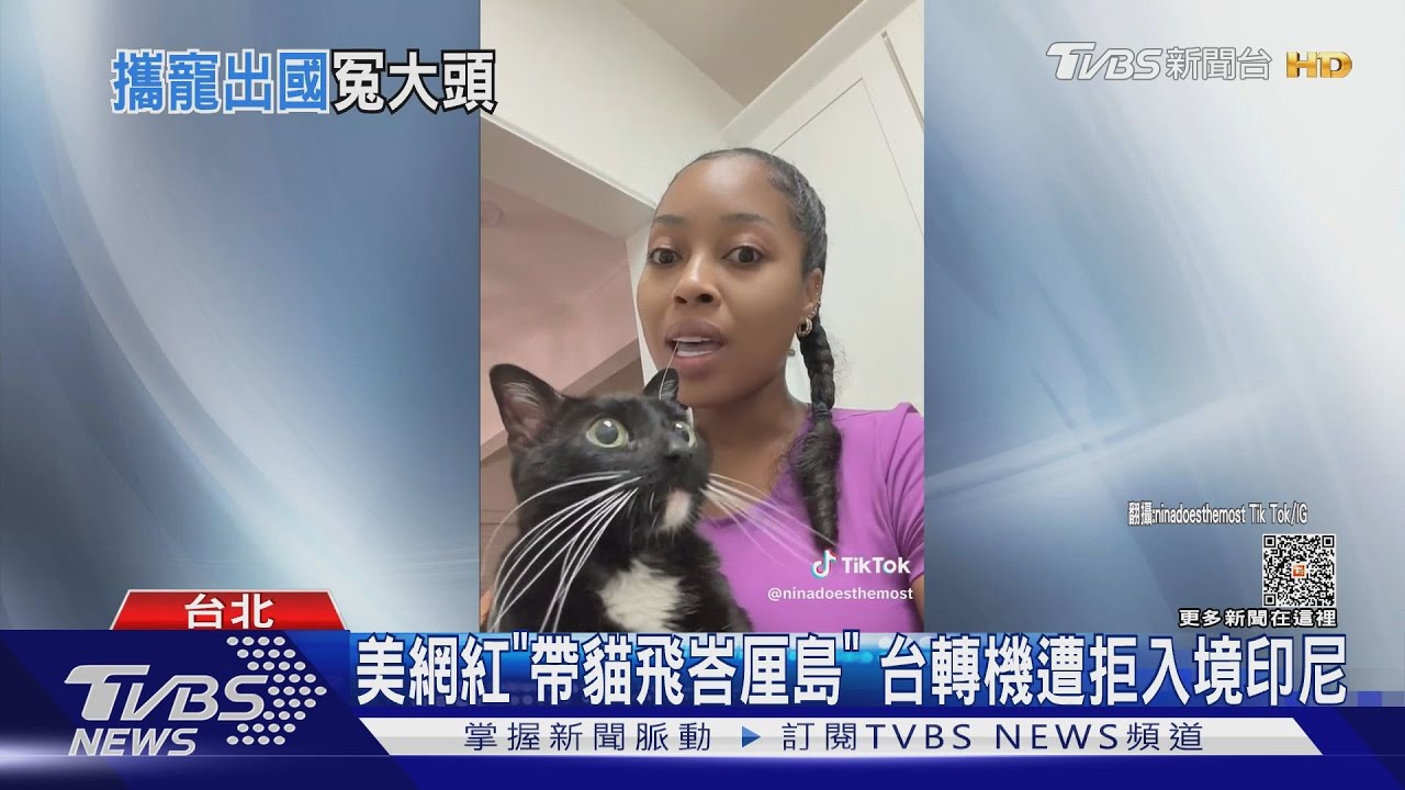 美網紅「帶貓飛峇厘島」 台轉機遭拒入境印尼