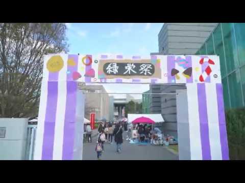 発達支援教育学科 2019緑栄祭