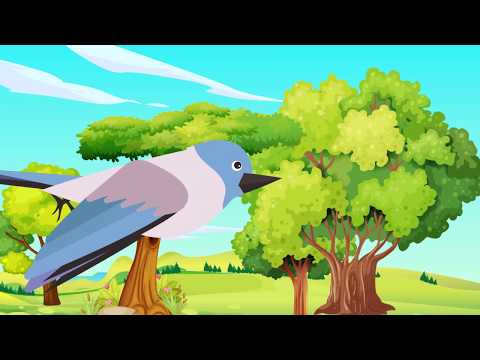 Tu sroczka kaszkę warzyła - Baśniowa Kapela - piosenki dla dzieci🐦🥰😊