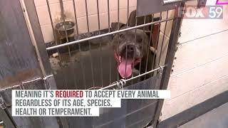 Indianapolis Animal Care Services offering free pet adoptions