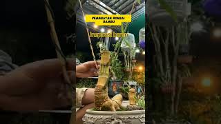 Download lagu proses pembuatan bonsai bambu mp3