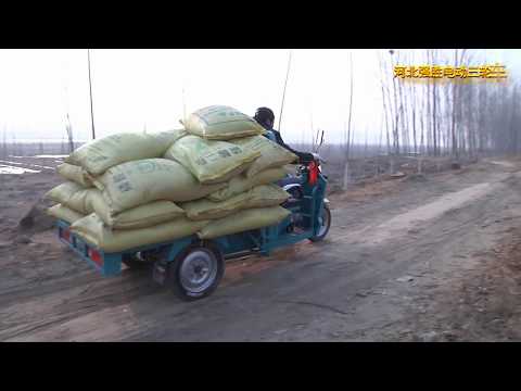Working process of e-rickshaw loader