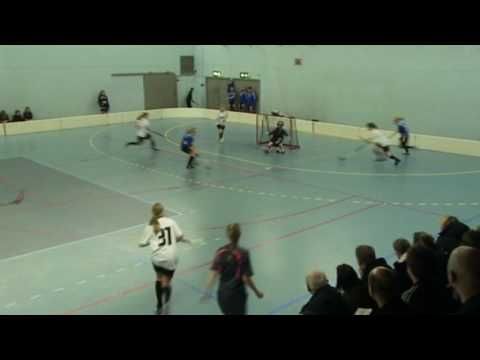 Storvretacup 2009-2010 Hagunda IF F95 B Final mål.mpg