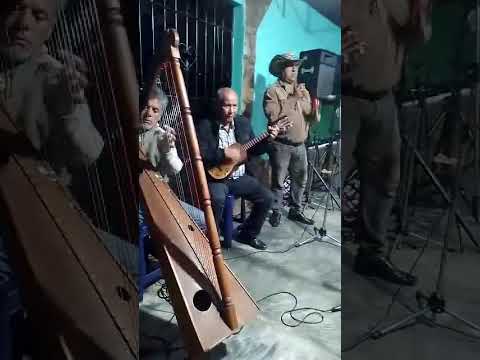 Arpa Rumbera de Bocono Estado Trujillo