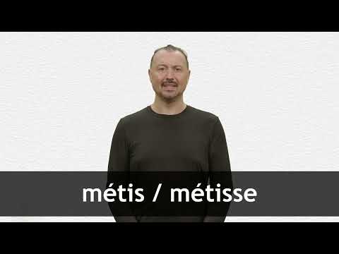 How to pronounce MÉTIS / MÉTISSE in French