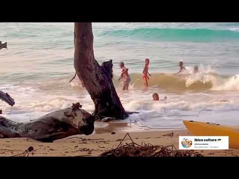 Swaito- Maria wango | musica oficial 