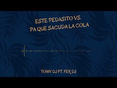 TOMY DJ - ESTE PEDACITO ES TUYO VS. PA QUE SACUDA LA COLA FT. FER DJ [ STRIPERS MIX ]