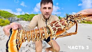 Я ПОЙМАЛ МОНСТРА ЛАНГУСТА! БЕРМУДСКИЙ ТРЕУГОЛЬНИК - Я ОСТАЛСЯ ОДИН НА НЕОБИТАЕМОМ ОСТРОВЕ. Часть 3