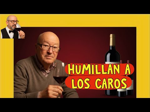 (462) VINOS BARATOS QUE HUMILLAN A LOS CAROS