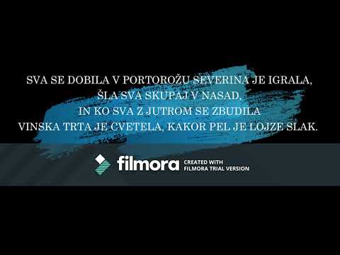 Matjaž Perenič - Res je fino ...