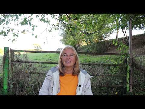 Safi Nidiaye - Corona Krise - Die Spaltung überwinden