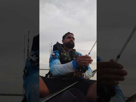 em busca da corvinas , Paranapanema terra.rica Paraná