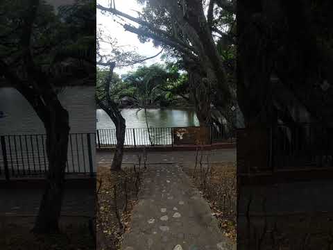 Despecho y más Despecho desde Altamira Huila