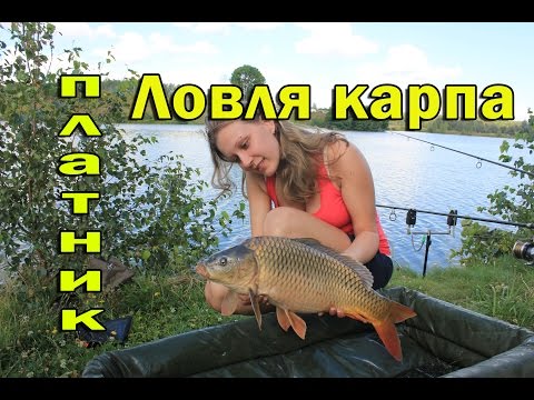 Рыбалка с найком Рыбалка с найком