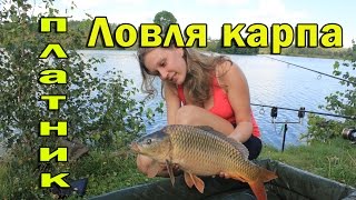 Рыбалка карпа в брянской обл