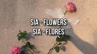 Sia - Flowers (tradução)