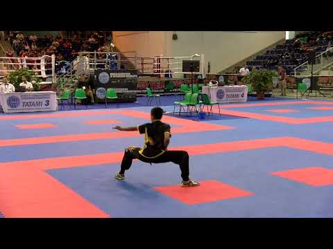 Thomas Saenz  WAKO World Championships 2018