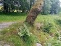 Barney S Adventures 73 At The Lakes District June 2024 Part 1 ️