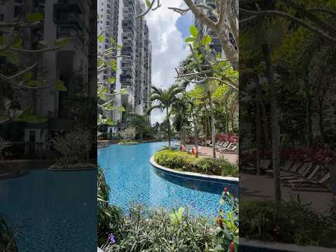 Foresque Residences, 107 Petir Road, 3 Bedrooms, 1,238 sqft, Condominium For Sale, by Celina Chong 张慧芳, 500147581 - PropertyGuru.com.sg