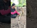🥤Thirsty Monkey Asks for a Drink