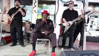 Cat Head Mini-Blues Festival - Big George Brock - Please Mr. Walmart