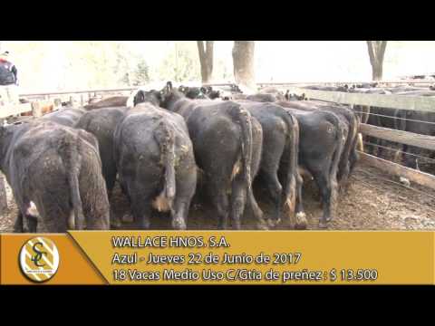 22-06-17 Venta de Vientres - Wallace Hnos. S.A. - Azul