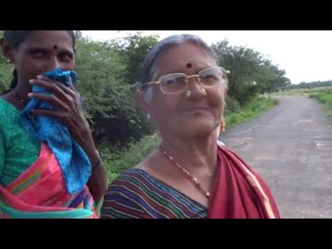 The Indian Head Bobble