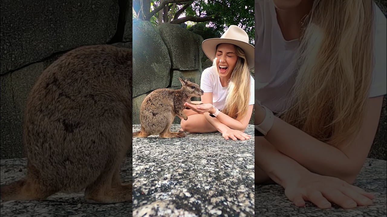 YouTube Short thumbnail