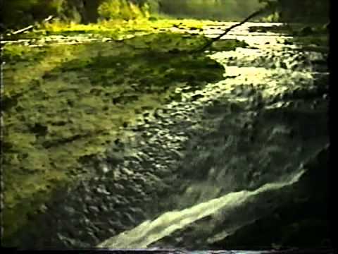 gospel song / Its my desire thumbnail