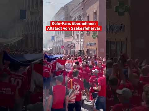1. FC Köln Fanmarsch in Szekesfehervar 🔴🔴👀 #shorts #uel #fussball #effzeh #fehervar #fanculture