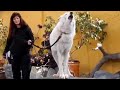 Funny Wolf Howling