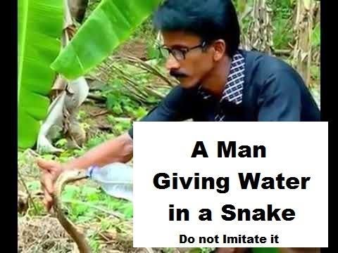 a man giving water in a snake - amazing Video - dont imitate this