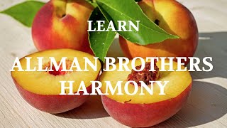 In The Mind Of: The Allman Brothers' Harmony