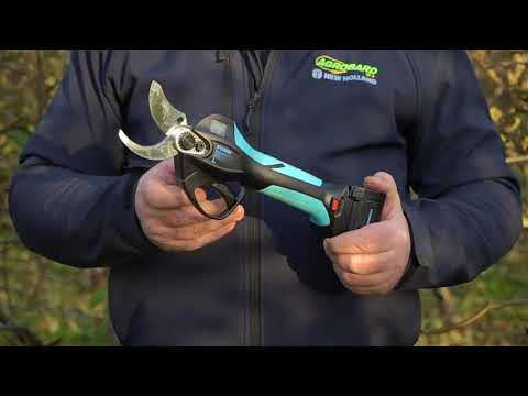 Jaki sekator elektryczny do sadu? Prezentacja trwałych i niezawodnych sekatorów Campagnola.