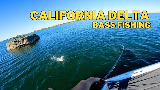 Non-Stop ACTION Bass Fishing on The California Delta 🔥🎣