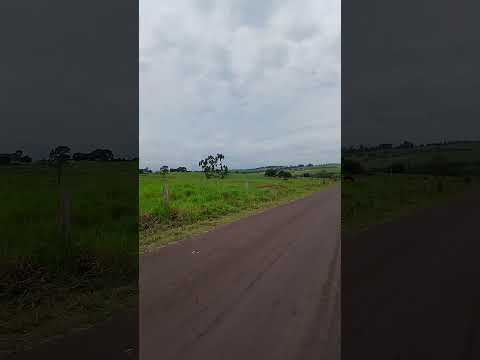 viagemdemoto #shorts #IPORÃ Pr