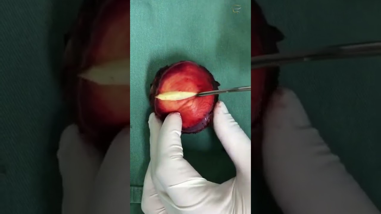 Pablo Duarte Rodrigues-17