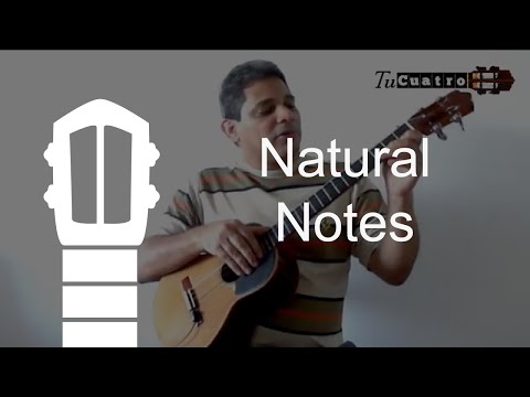 Natural Notes - Venezuelan Cuatro