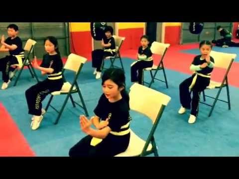 KungFu Dragon USA - New way to  train empty stance