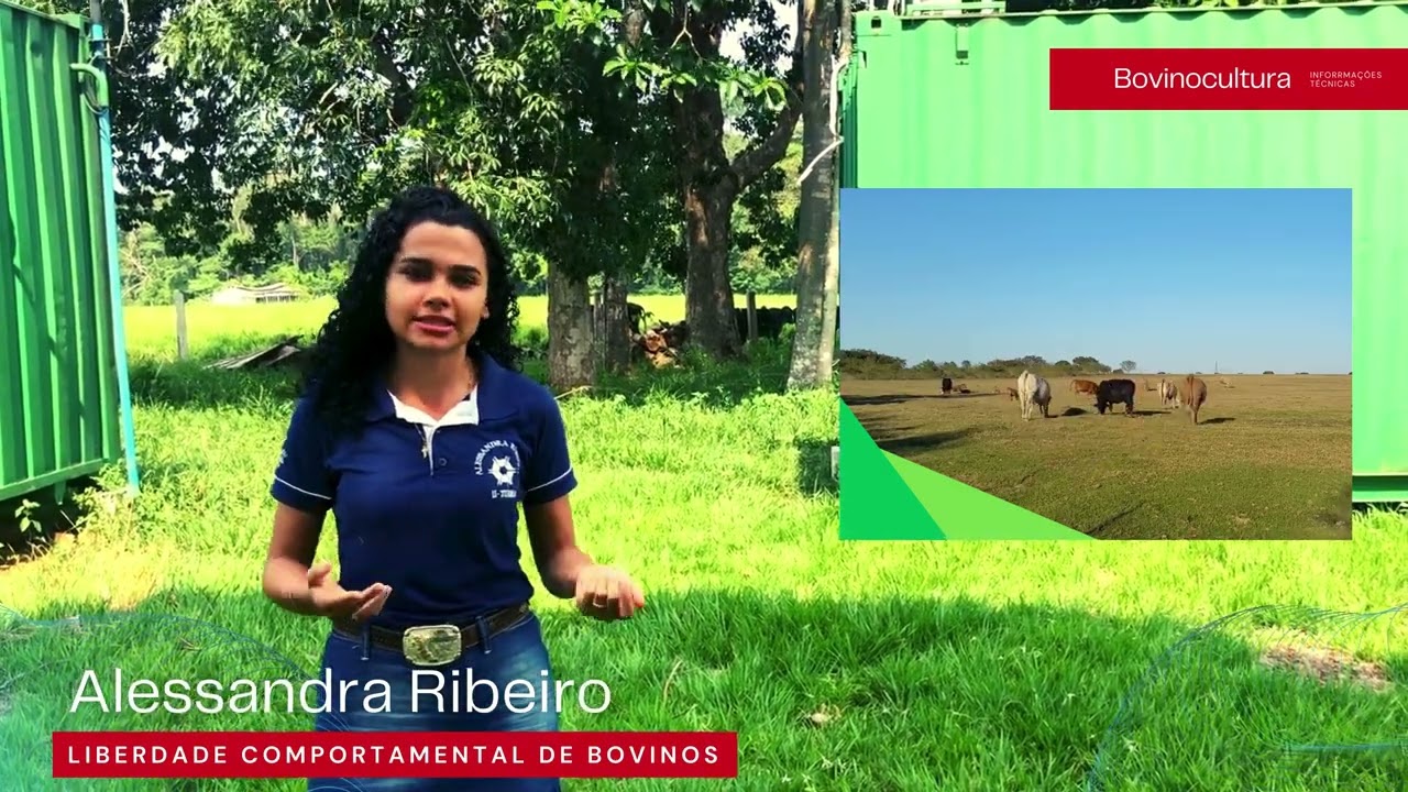 Liberdade Comportamental Dos Bovinos | Bem-Estar Animal