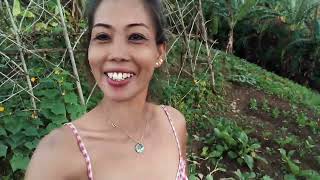 Feb 26 2023.🇵🇭🇵🇭🇵🇭HARVESTING// VEGETABLES!  WITH MOTHER&SISTER.. 👍🌟