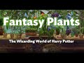 Fantasy Plants Harry Potter