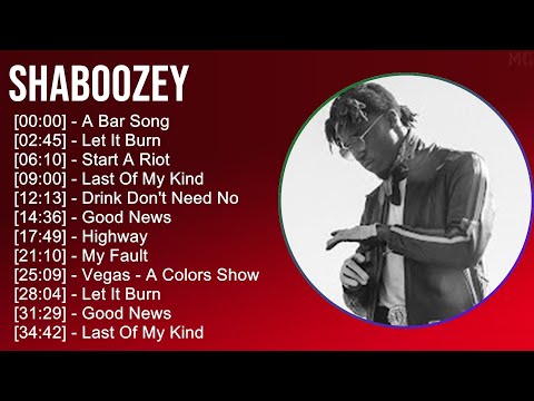 Shaboozey 2025 MIX Top Hits - A Bar Song, Let It Burn, Start A Riot, Last Of My Kind