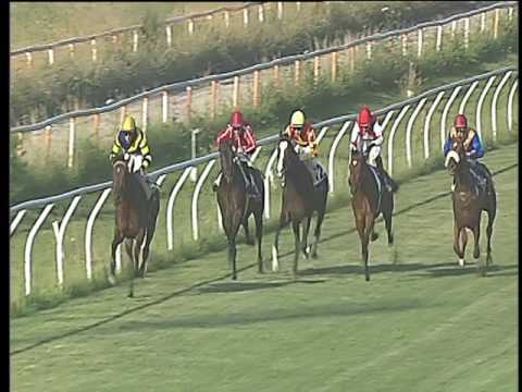 Galoppo 09/06/2017 - 5ª corsa