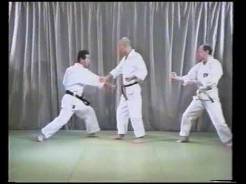 Essence of Wado Ryu Karate — Part 3