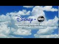 Disney ABC Home Entertainment And Television Distribution 2019